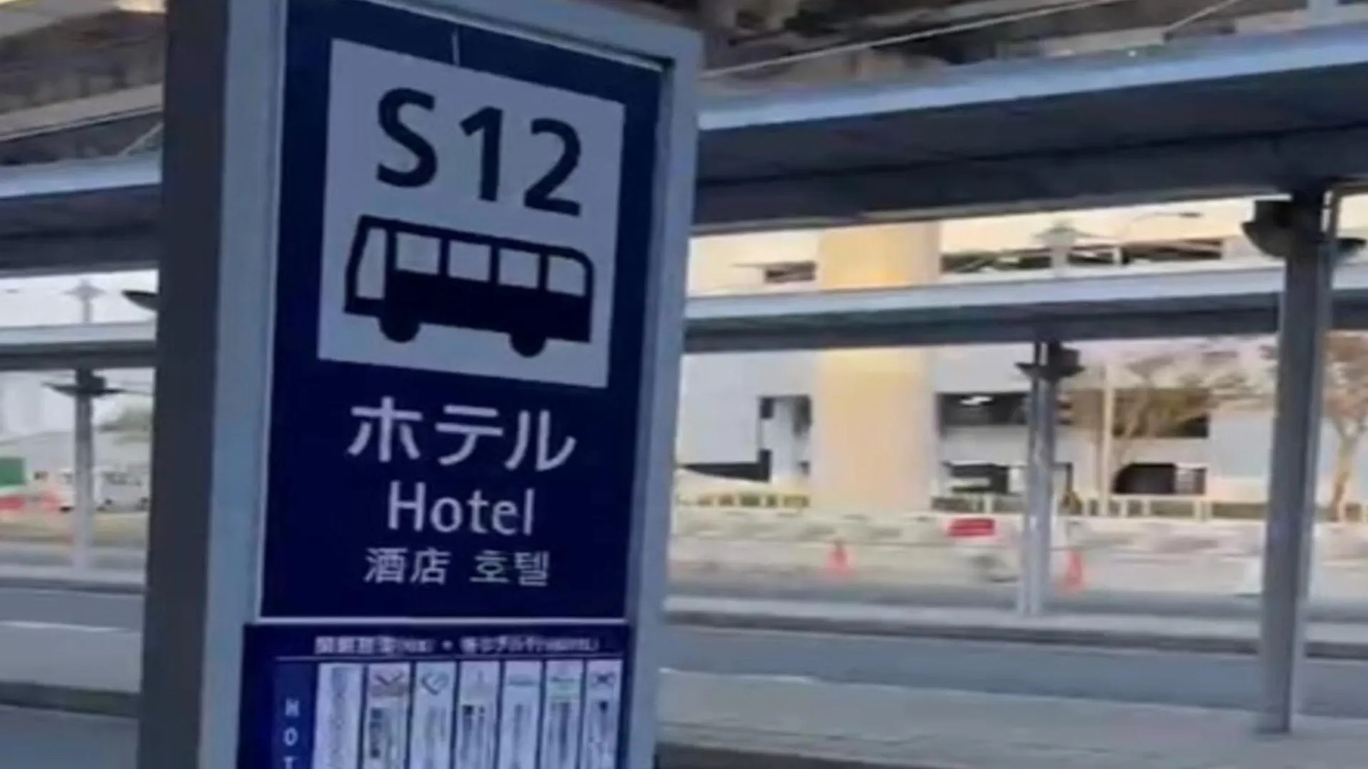 Kansai Airport Washington Hotel Izumisano 4*,  Japan